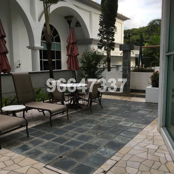 Gloucester Mansions (D11), Apartment #131577702